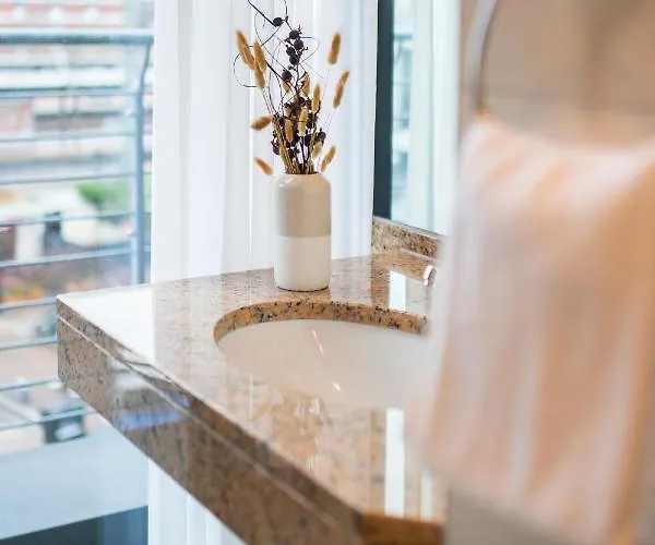 Koncept Benedikt 锡格堡